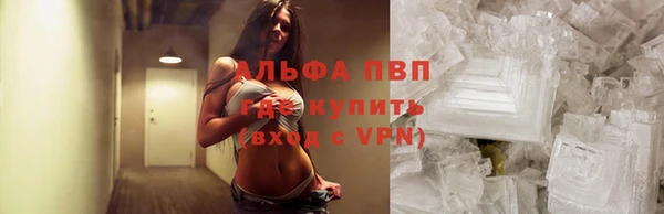 PSILOCYBIN Пикалёво