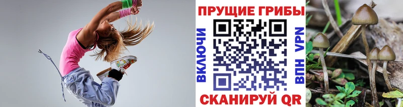 Галлюциногенные грибы прущие грибы  купить   Никольск 